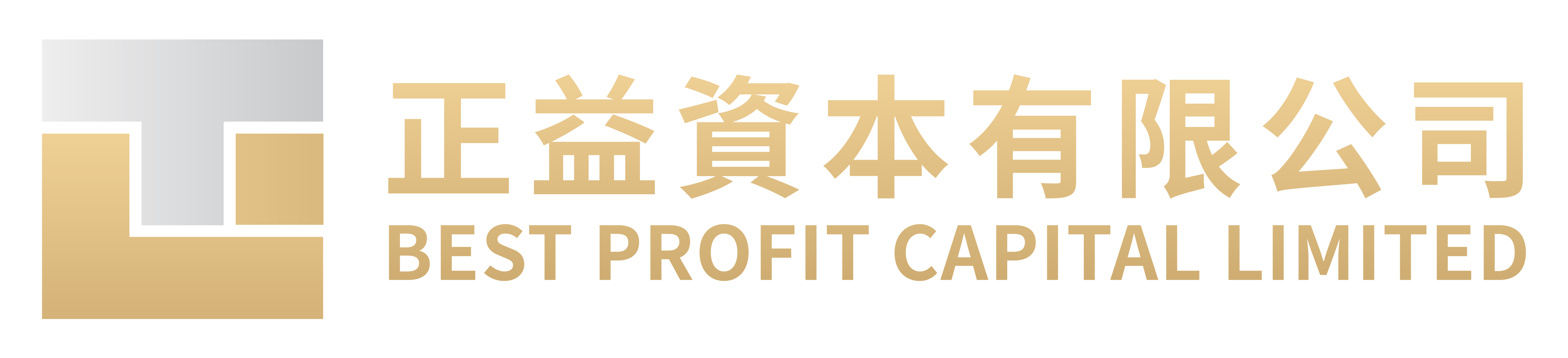 Best Profit Capital Limited logo